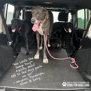 Agility Mat - Garage Pet Mat - Animal Wellness Depot Agility Mat - Garage Pet Mat