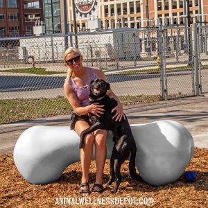 Ellie Bear's Play & Agility Bone - Large