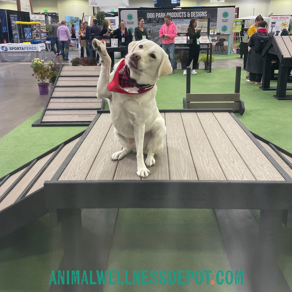 Animal-Wellness-Depot-Bridge-Climb-Large-Green-Gyms-for-dogs1 - Animal Wellness Depot