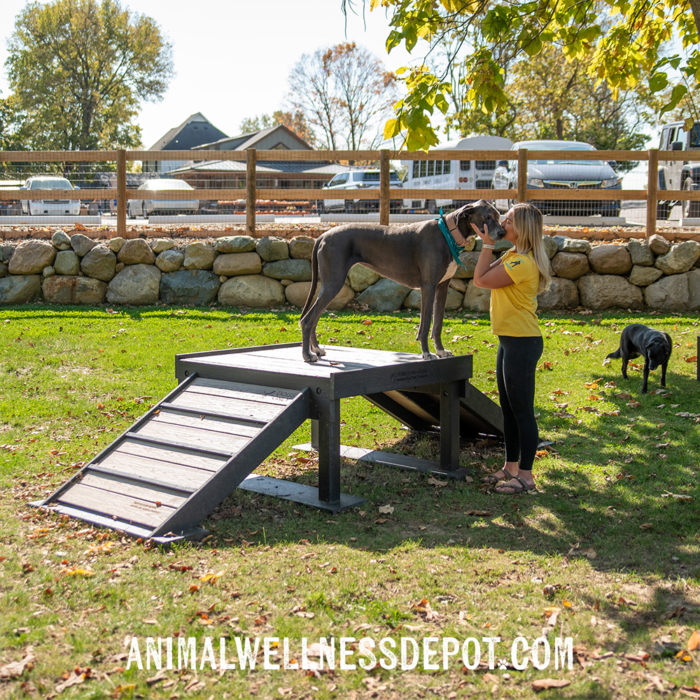 Animal-Wellness-Depot-Bridge-Climb-Large-Green-Gyms-for-dogs12 - Animal Wellness Depot