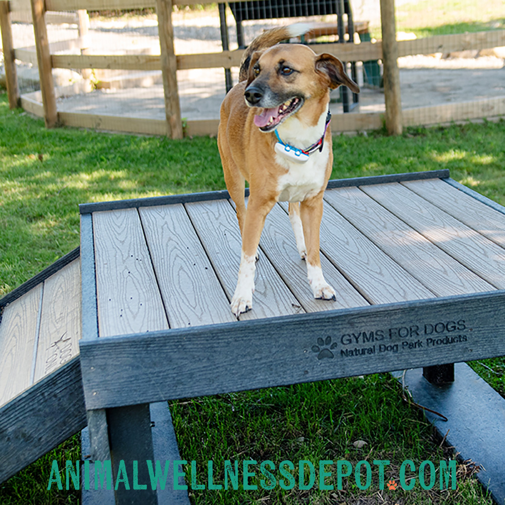 Animal-Wellness-Depot-Bridge-Climb-Large-Green-Gyms-for-dogs13 - Animal Wellness Depot