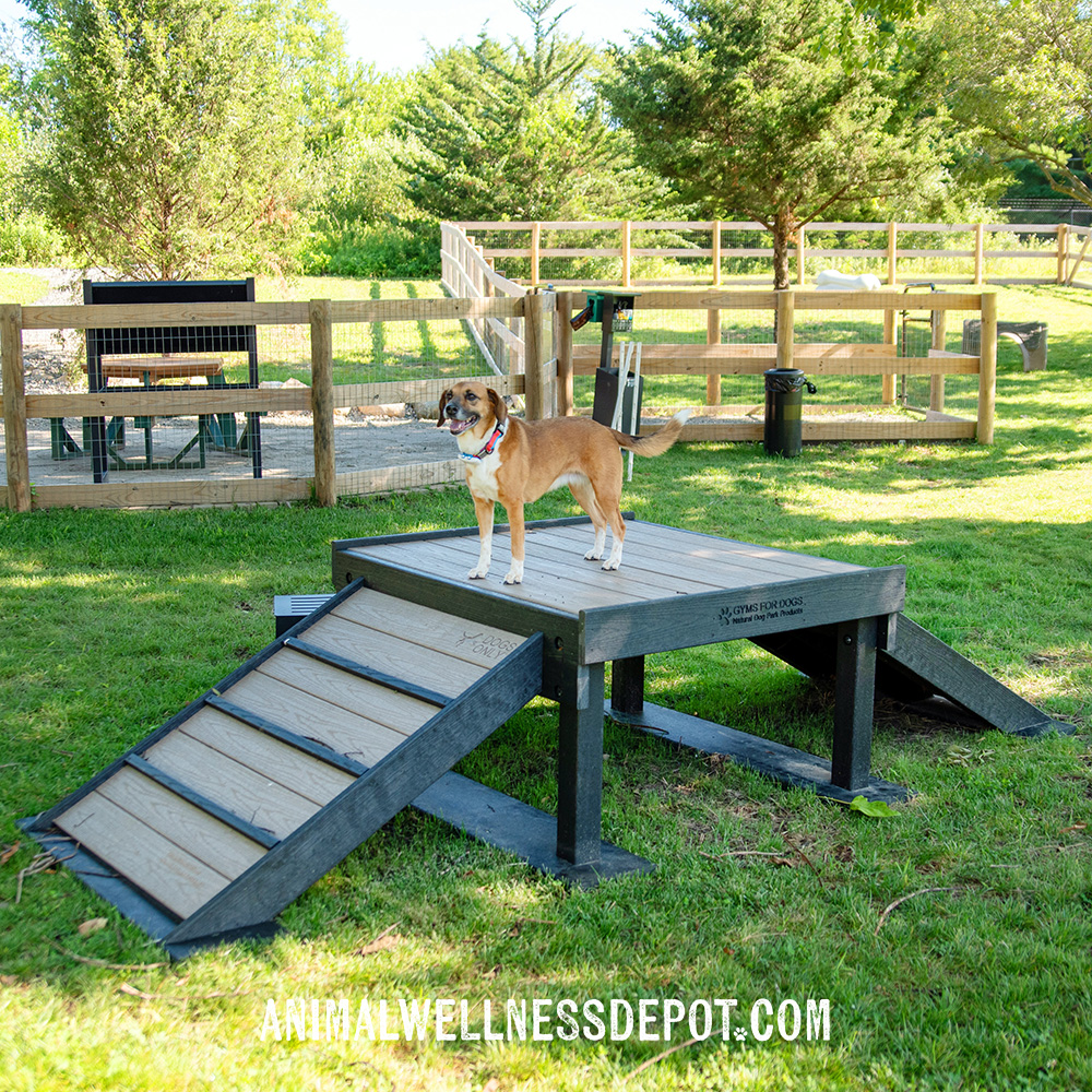 Animal-Wellness-Depot-Bridge-Climb-Large-Green-Gyms-for-dogs17 - Animal Wellness Depot