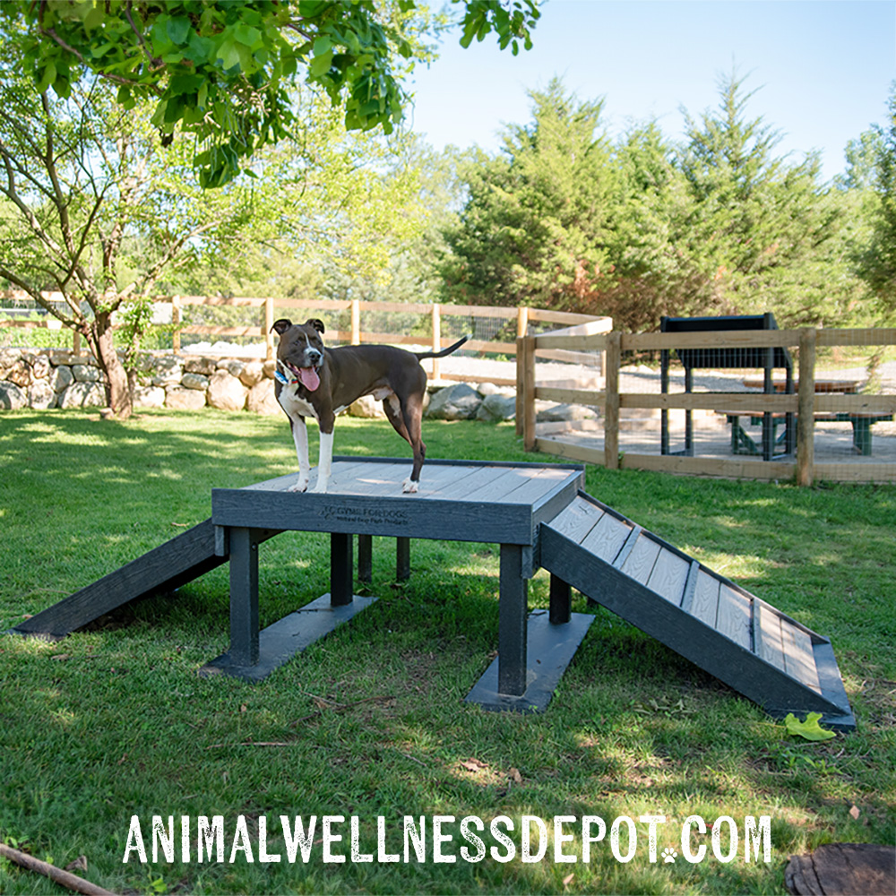 Animal-Wellness-Depot-Bridge-Climb-Large-Green-Gyms-for-dogs18 - Animal Wellness Depot
