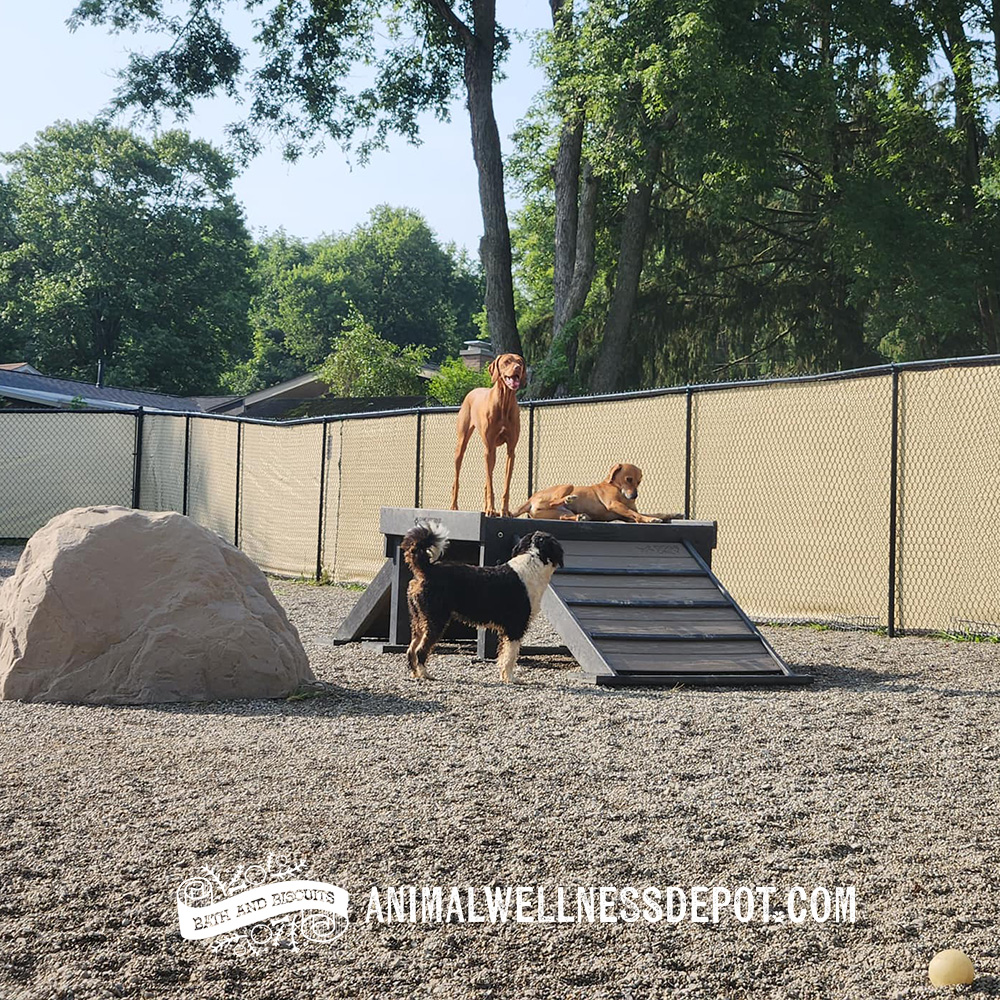 Animal-Wellness-Depot-Bridge-Climb-Large-Green-Gyms-for-dogs9 - Animal Wellness Depot