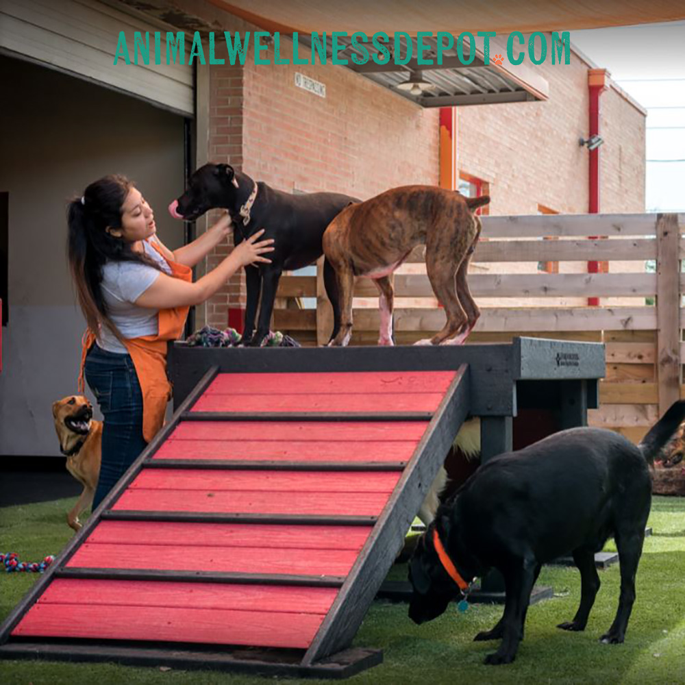 Animal-Wellness-Depot-Bridge-Climb-Xlarge-nutmeg-Gyms-for-dogs3 - Animal Wellness Depot