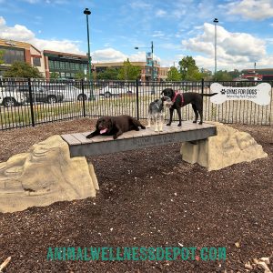 Ellie’s Boulder Bridge - Pro