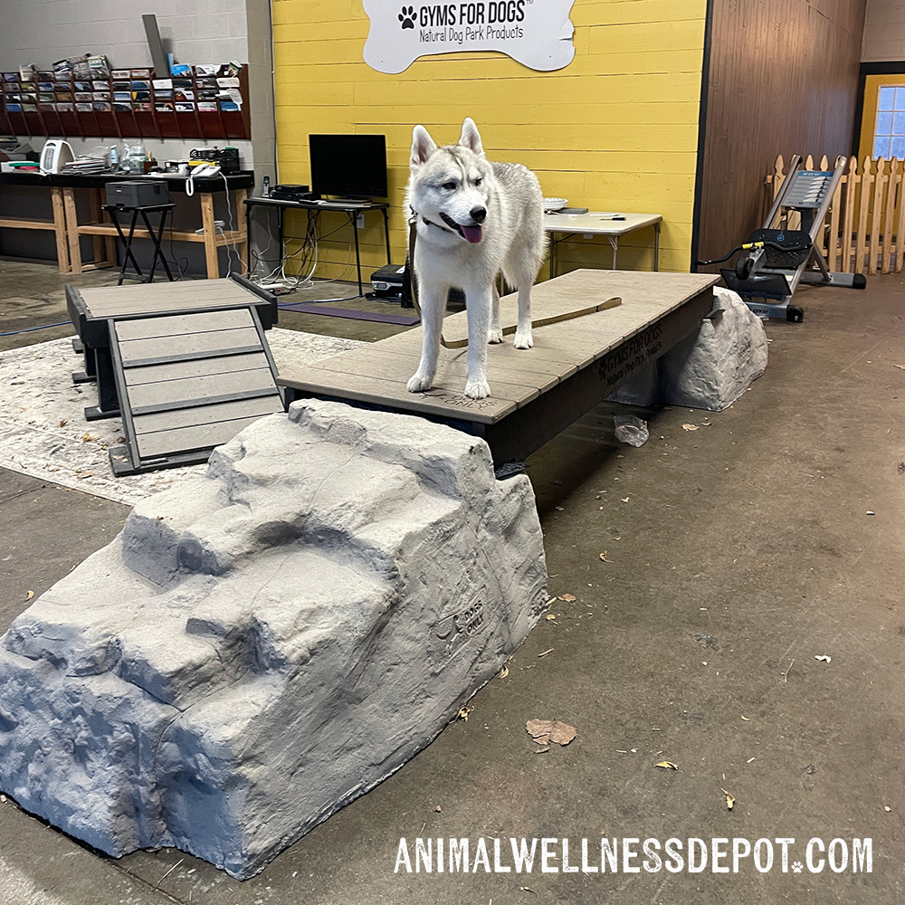 Animal-Wellness-Depot-Gyms-For-Dogs-Ellies-Boulder-Bridge_standard - Animal Wellness Depot