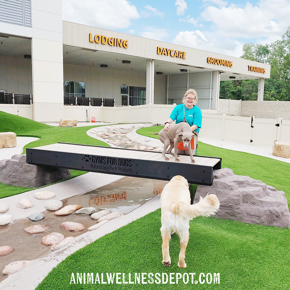 Animal-Wellness-Depot-Gyms-For-Dogs-Ellies-Boulder-Bridge_standard16 - Animal Wellness Depot