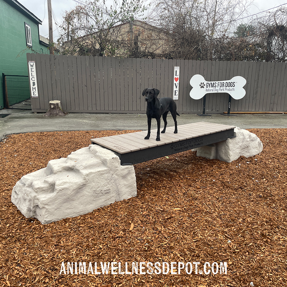 Animal-Wellness-Depot-Gyms-For-Dogs-Ellies-Boulder-Bridge_standard4 - Animal Wellness Depot
