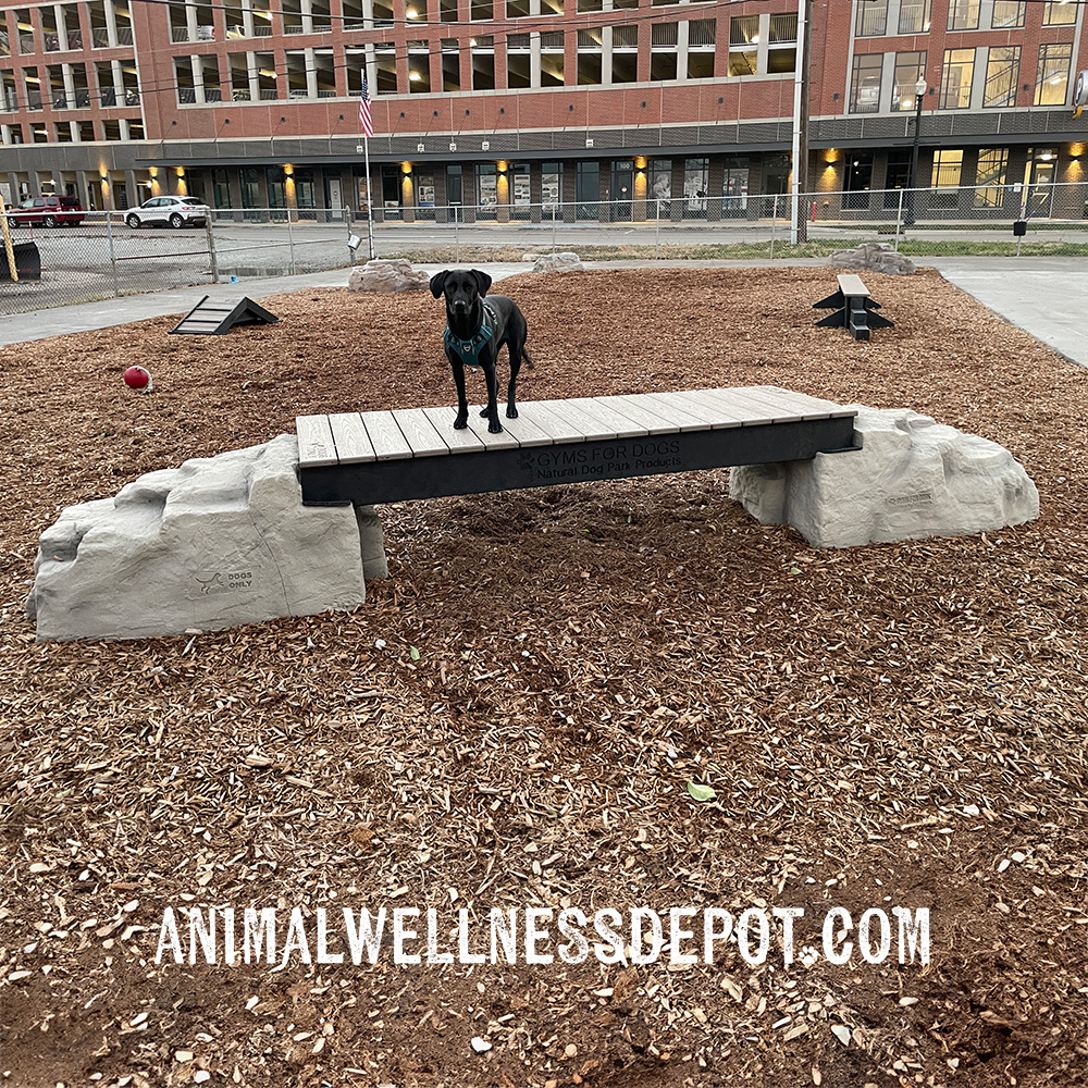 Animal-Wellness-Depot-Gyms-For-Dogs-Ellies-Boulder-Bridge_standard5 - Animal Wellness Depot