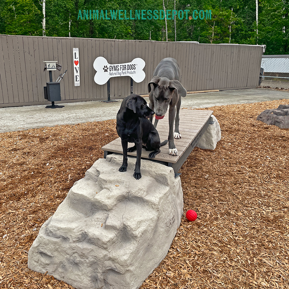 Animal-Wellness-Depot-Gyms-For-Dogs-Ellies-Boulder-Bridge_standard6 - Animal Wellness Depot