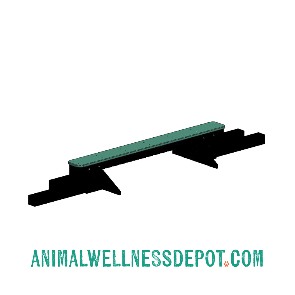 Animal-Wellness-Depot-Gyms-For-Dogs-Jump-Balance-Beam-Green2 - Animal Wellness Depot