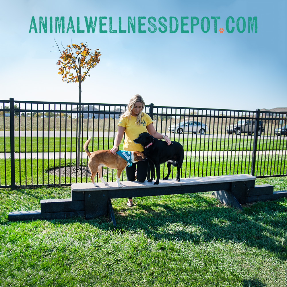 Animal-Wellness-Depot-Gyms-For-Dogs-Jump-Balance-Beam-Nutmeg - Animal Wellness Depot