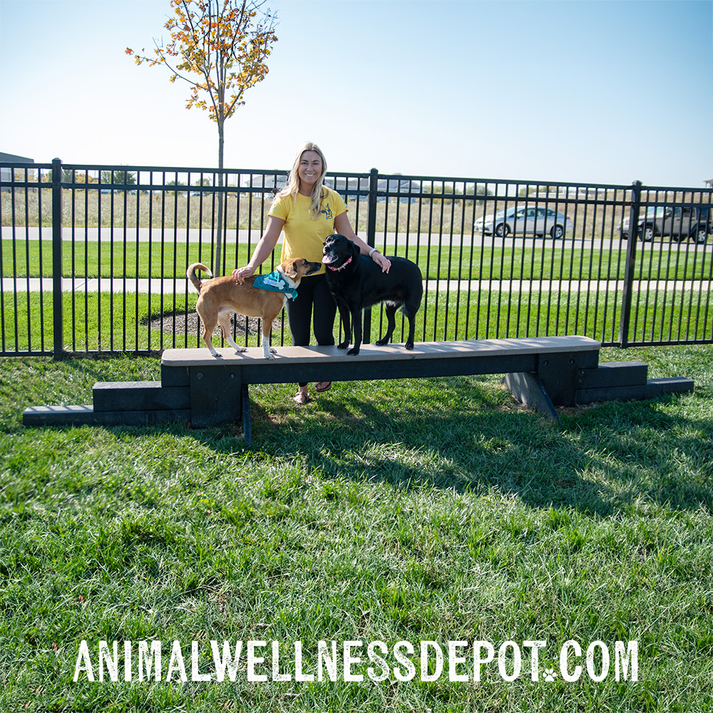 Animal-Wellness-Depot-Gyms-For-Dogs-Jump-Balance-Beam-Nutmeg12 - Animal Wellness Depot