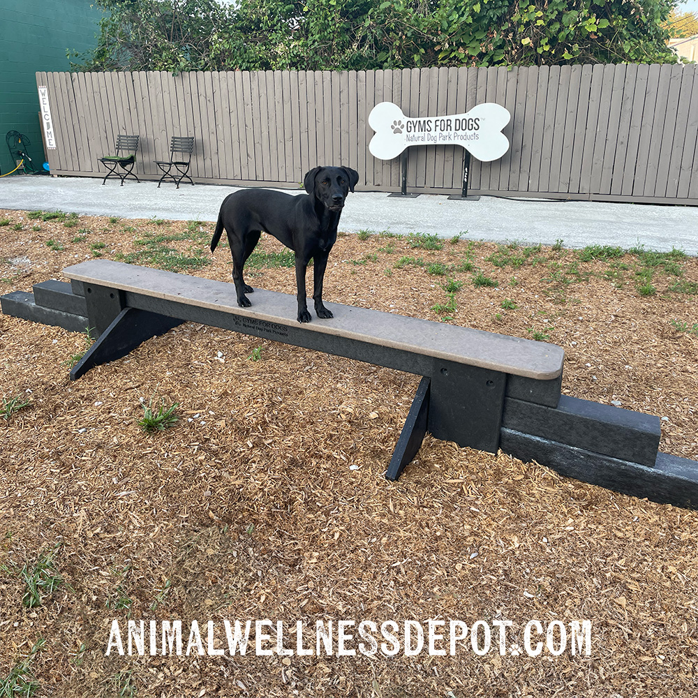 Animal-Wellness-Depot-Gyms-For-Dogs-Jump-Balance-Beam-Nutmeg4 - Animal Wellness Depot