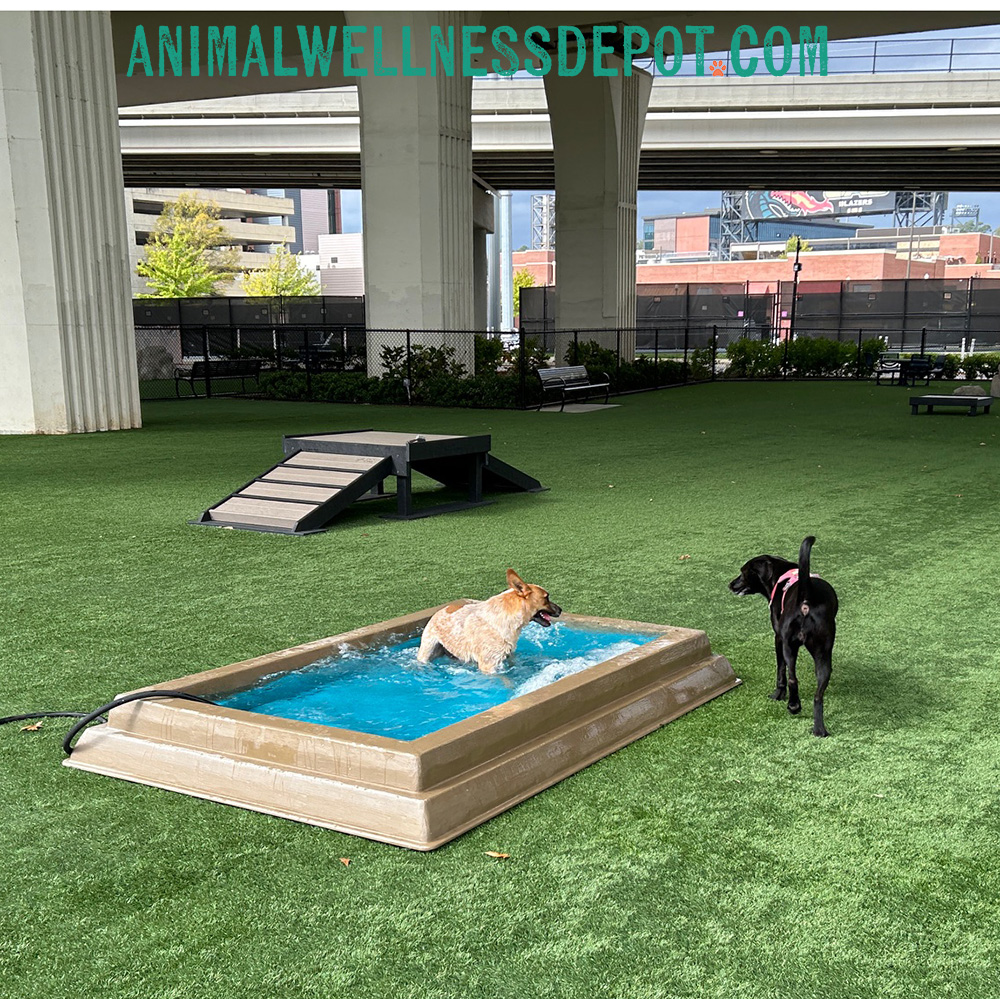Animal-Wellness-Depot-Gyms-For-Dogs-Splash-Pool - Animal Wellness Depot