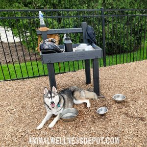 The Dog Post - Leash Post & Toy Box