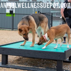 Training Platform - Large