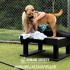 Training Platform - Small