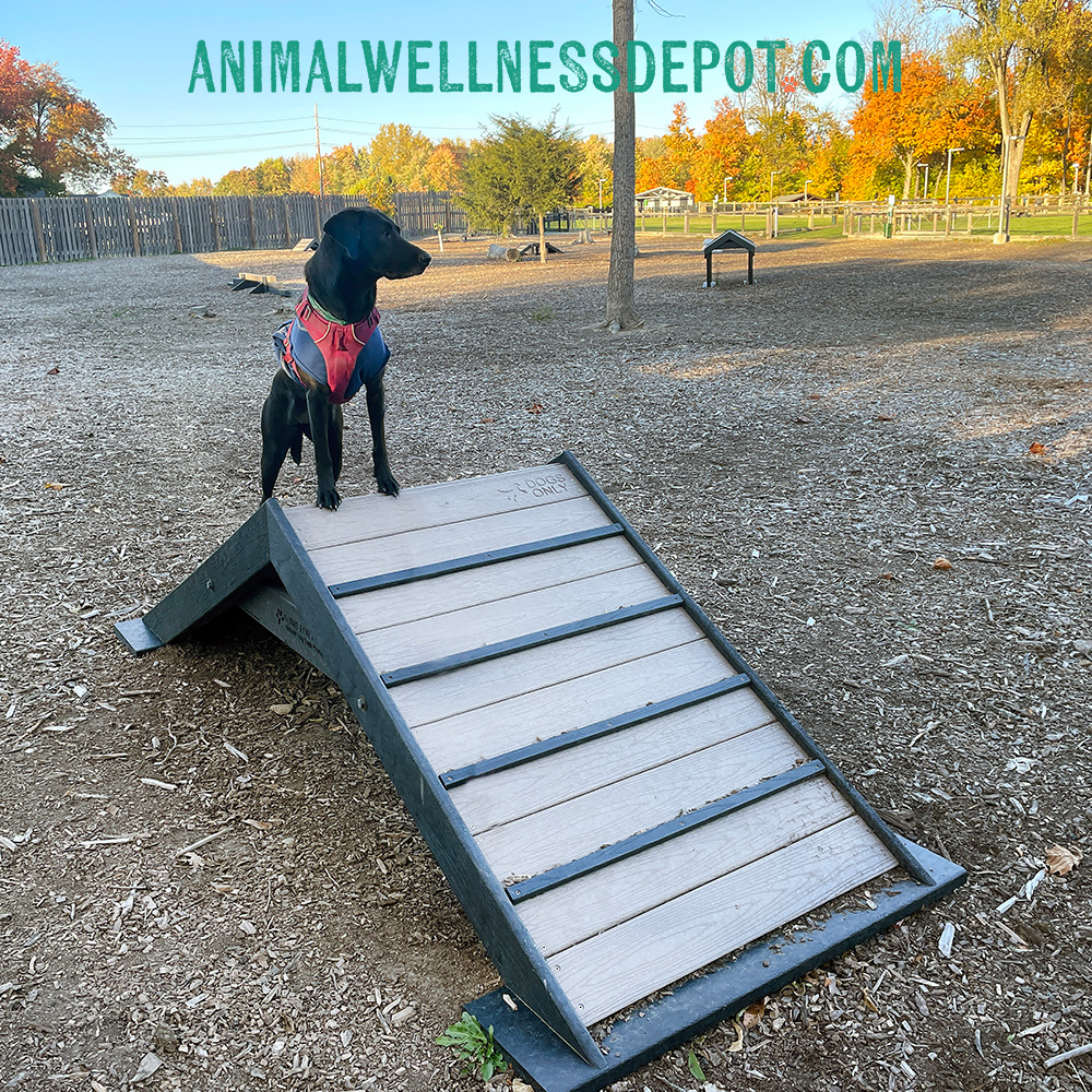 Animal-wellness-depot-gyms-for-dogs-hill-climb-nutmeg3 - Animal Wellness Depot