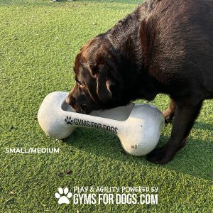 The Dog Bone Bowl - Animal Wellness Depot The Dog Bone Bowl