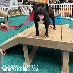 Bridge Climb - Interactive Play Series