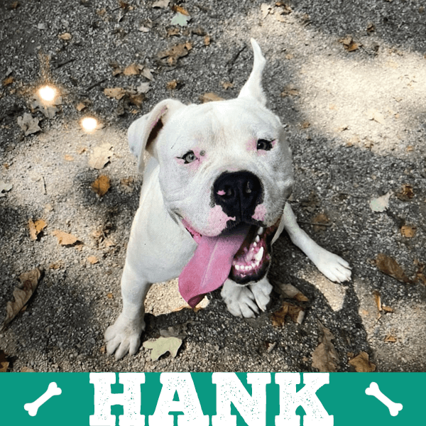 hank-03-2024 hank-03-2024